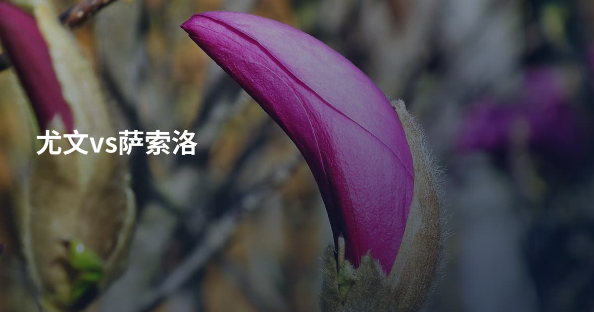 尤文vs萨索洛