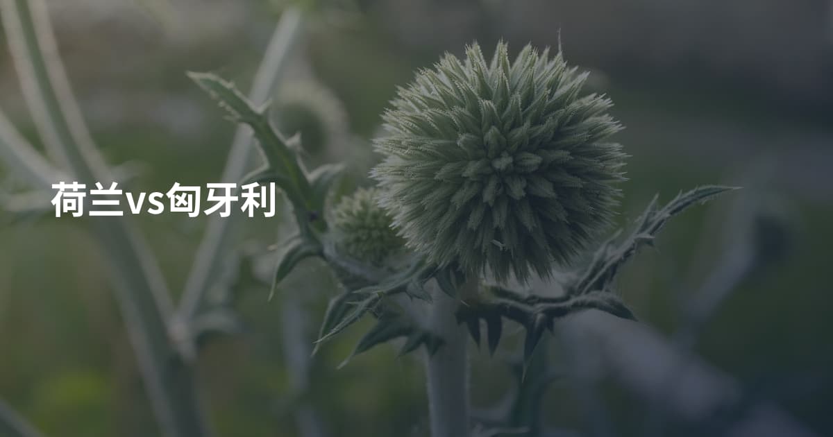 荷兰vs匈牙利