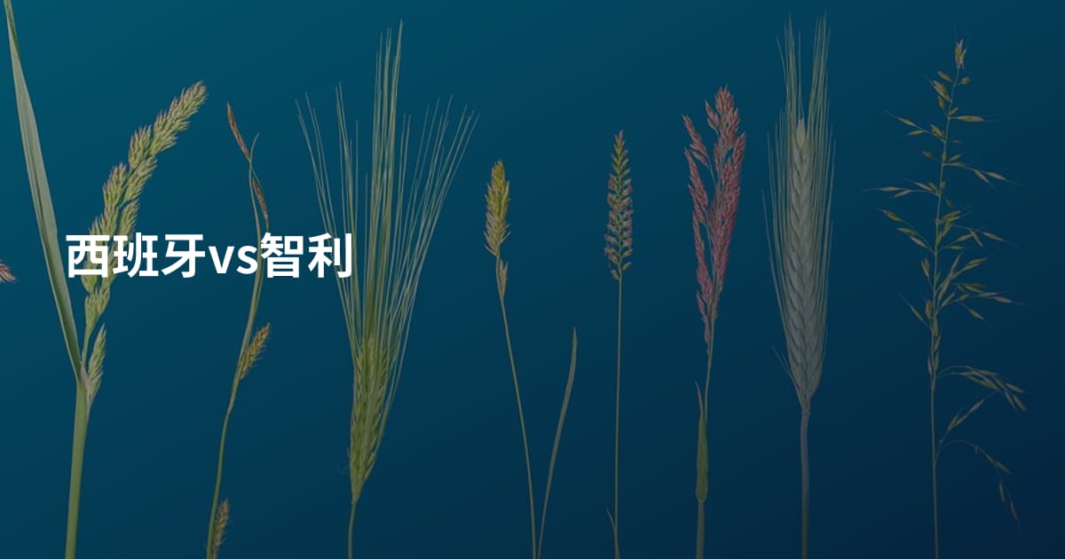 西班牙vs智利