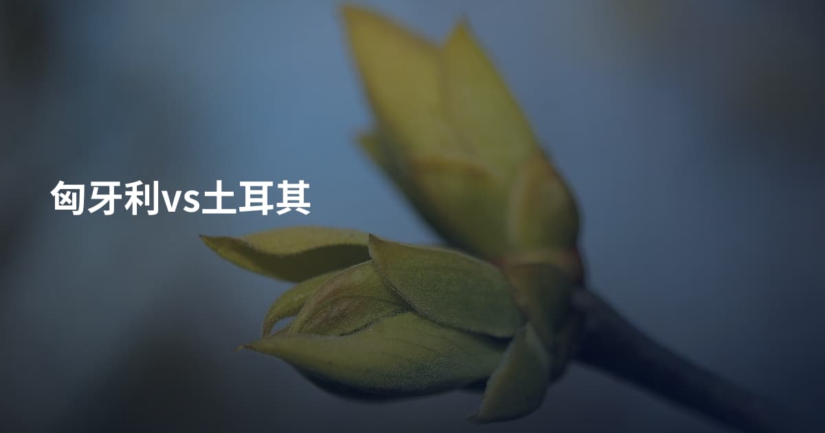 匈牙利vs土耳其