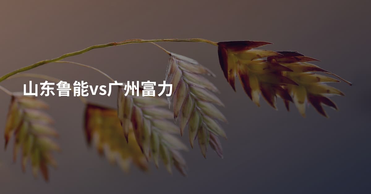 山东鲁能vs广州富力