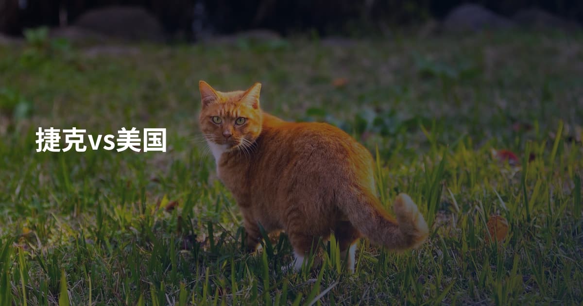 捷克vs美国