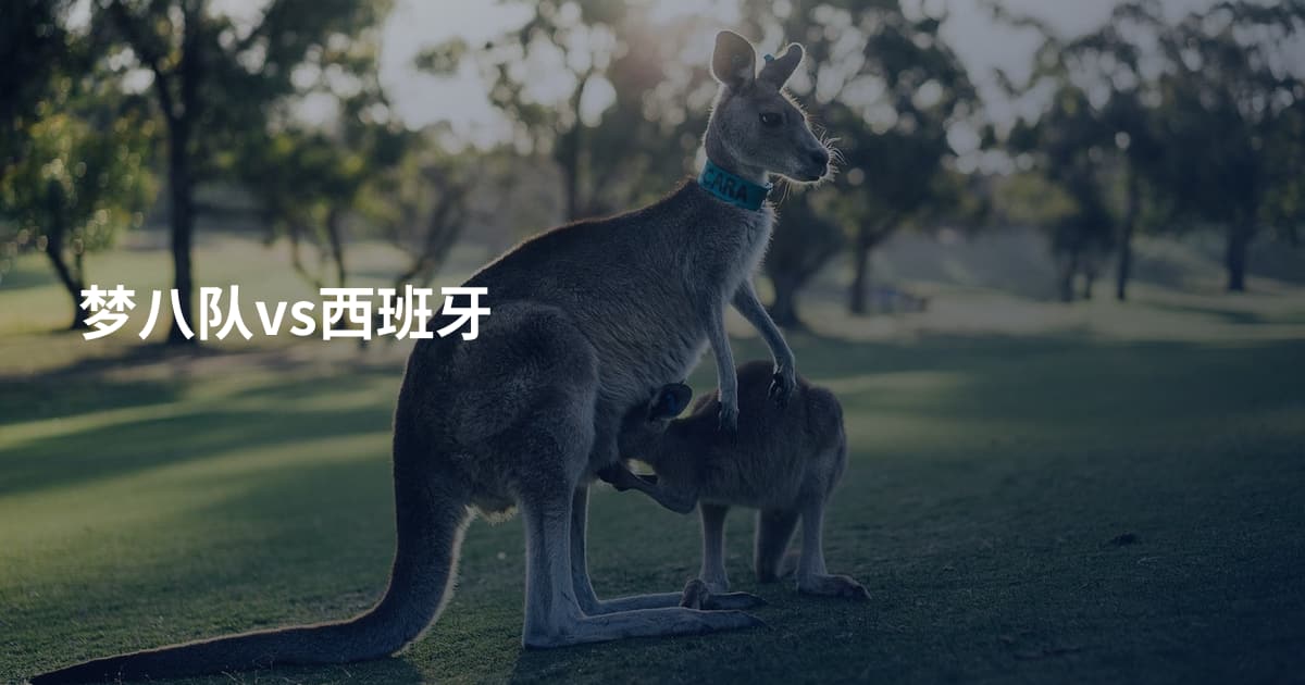 梦八队vs西班牙