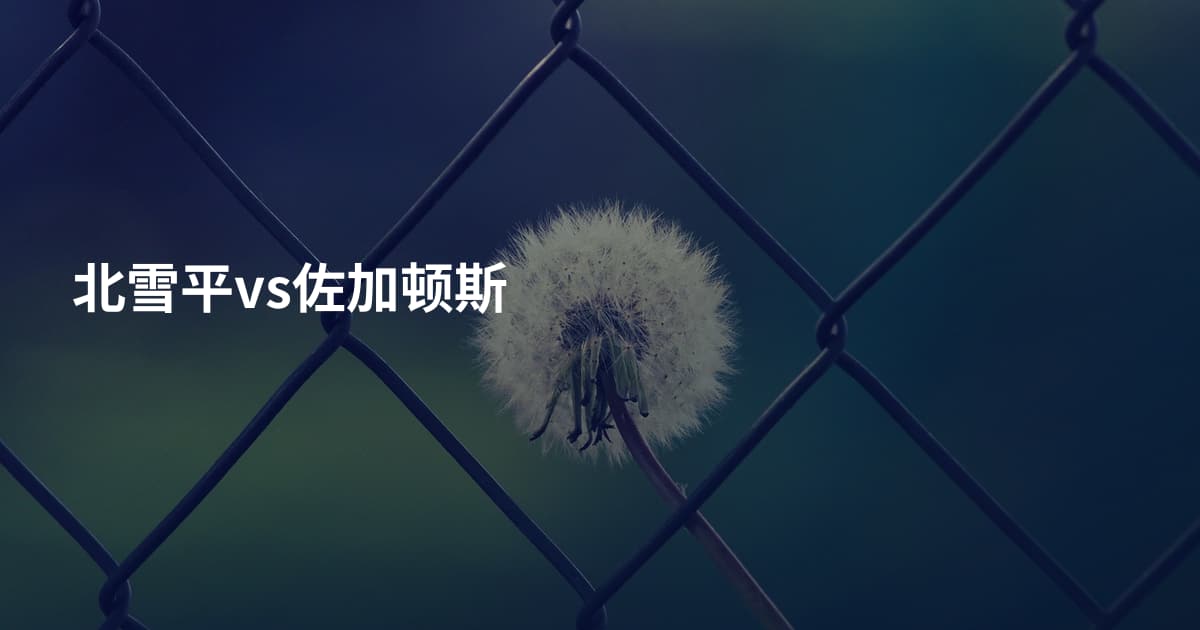 北雪平vs佐加顿斯
