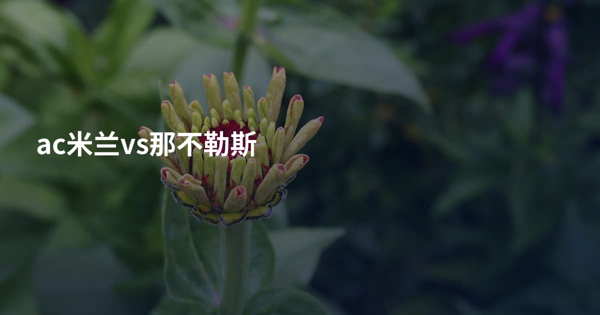 ac米兰vs那不勒斯