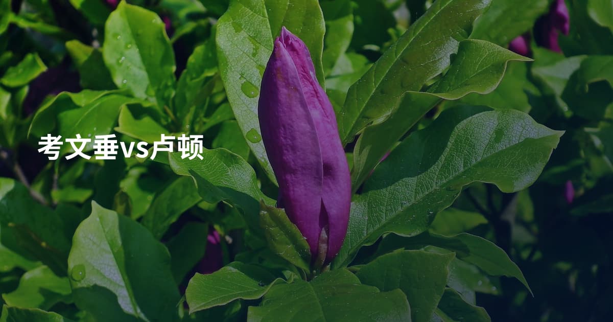 考文垂vs卢顿