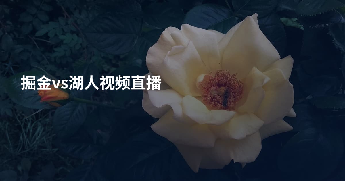 掘金vs湖人视频直播