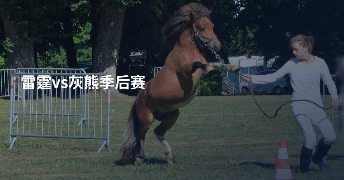 雷霆vs灰熊季后赛