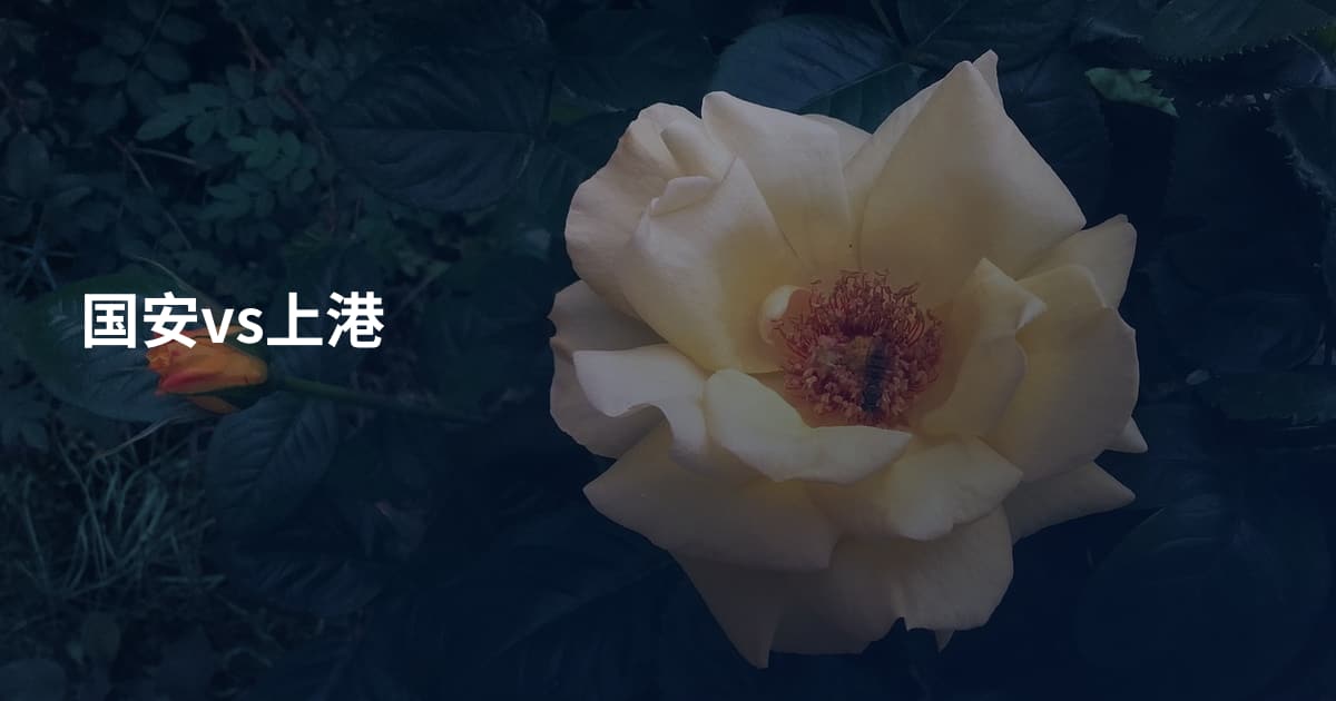 国安vs上港