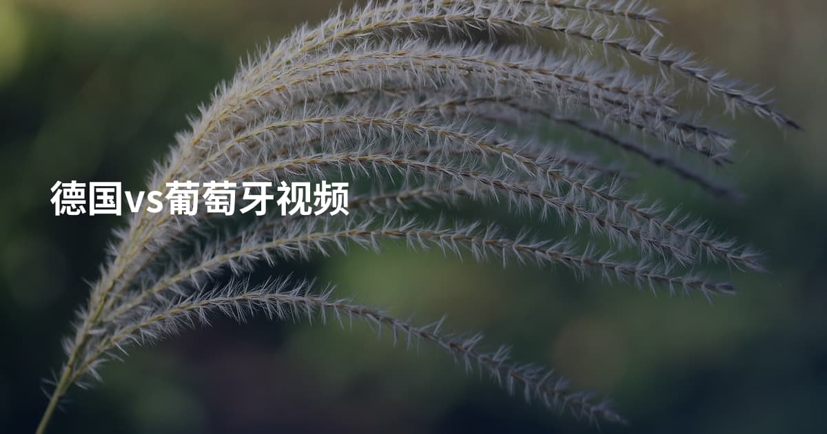 德国vs葡萄牙视频