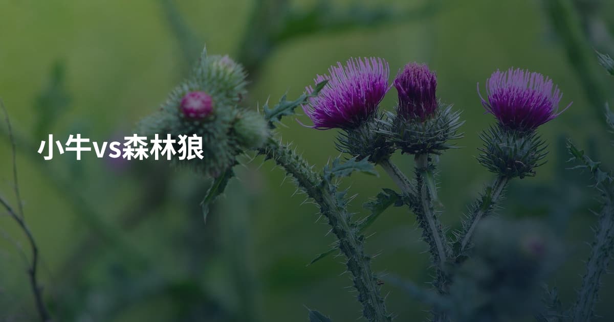 小牛vs森林狼