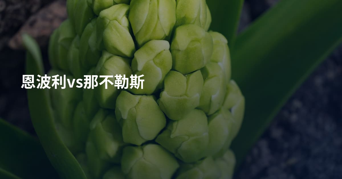 恩波利vs那不勒斯
