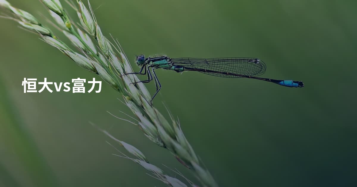 恒大vs富力