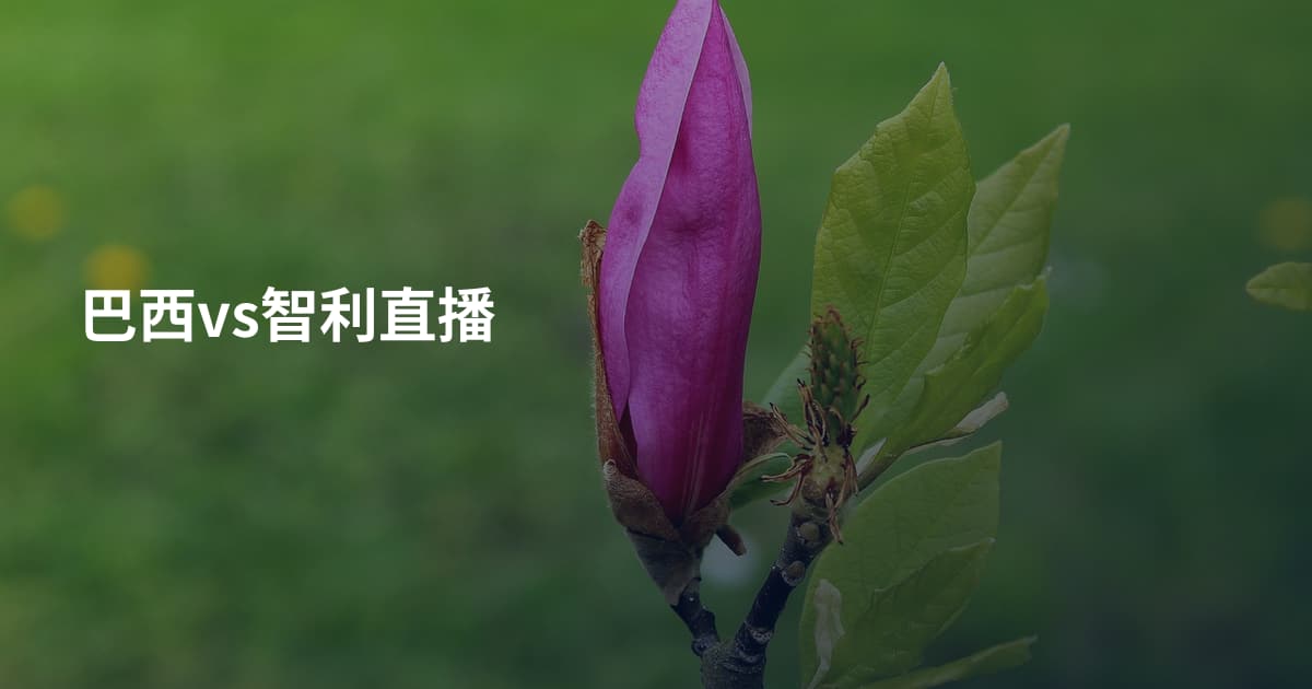 巴西vs智利直播