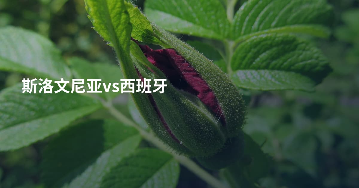 斯洛文尼亚vs西班牙