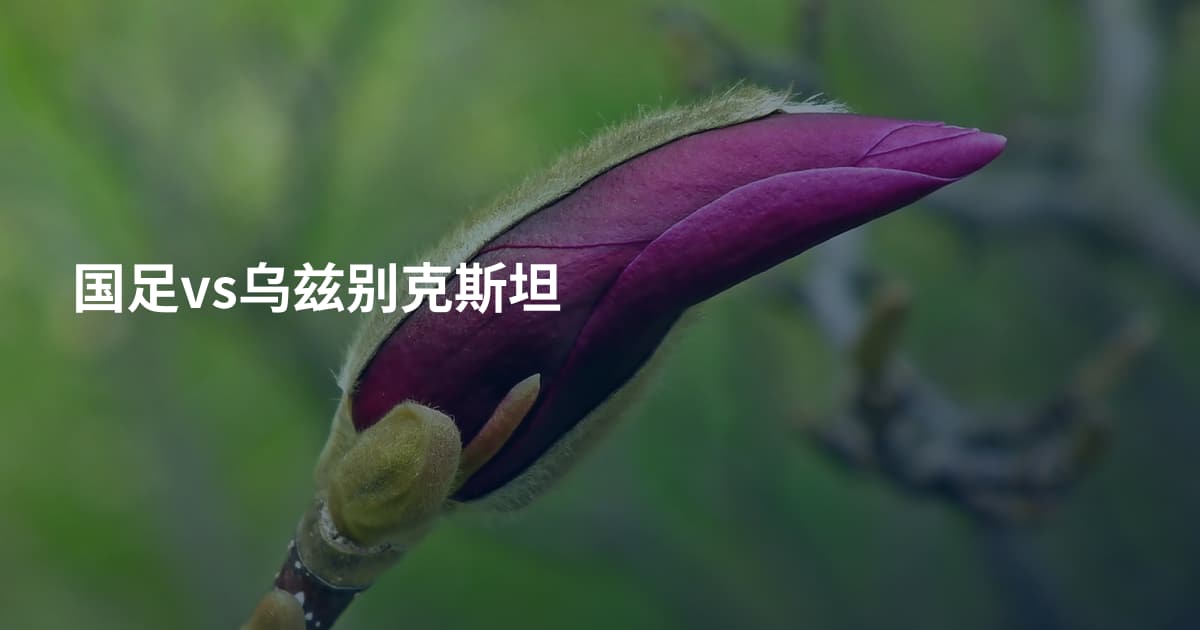 国足vs乌兹别克斯坦