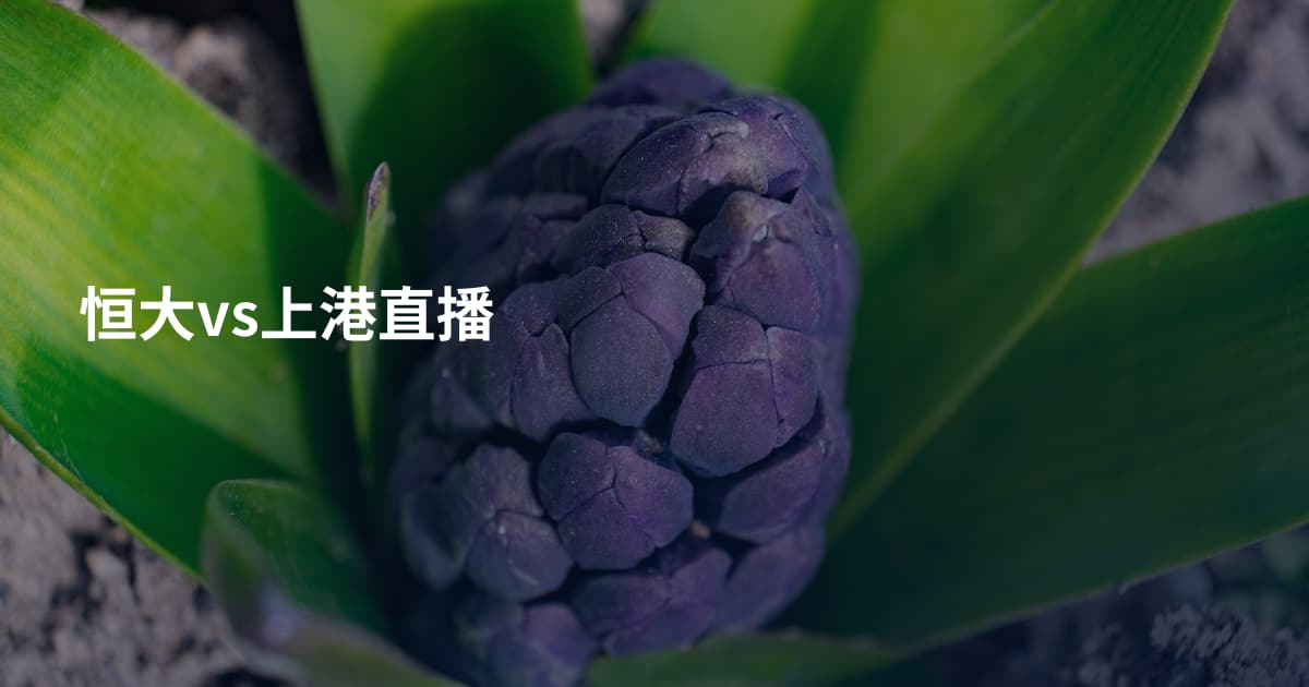 恒大vs上港直播