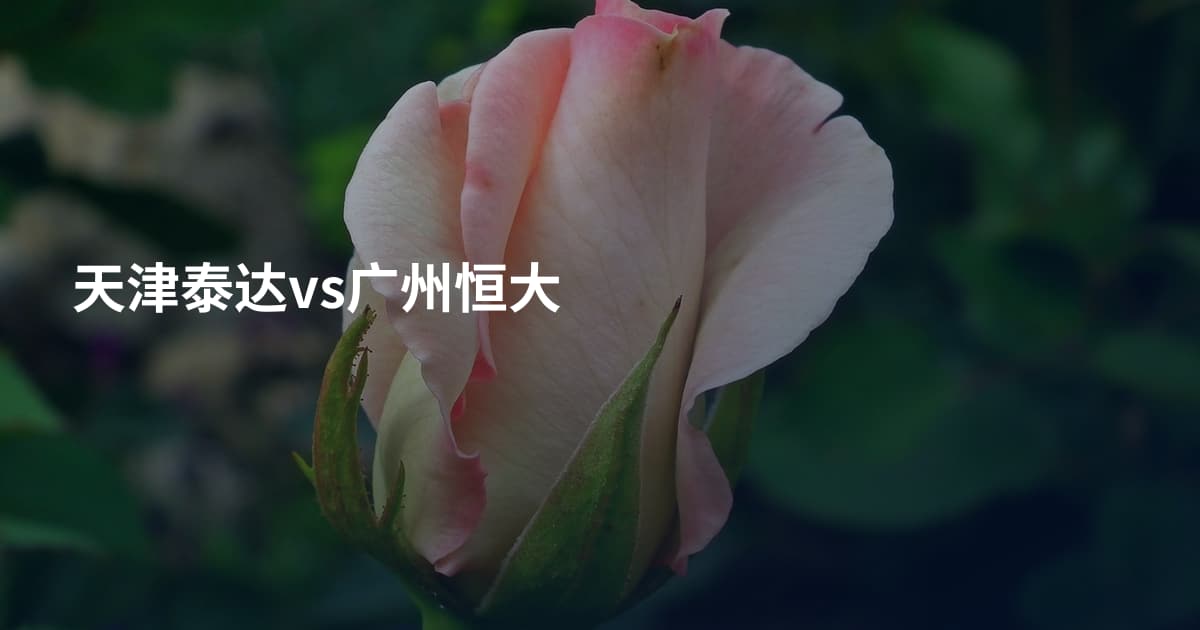 天津泰达vs广州恒大