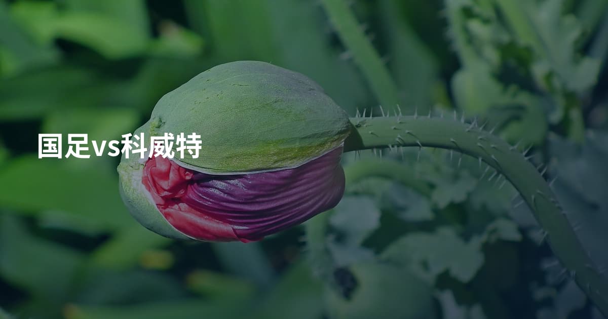 国足vs科威特
