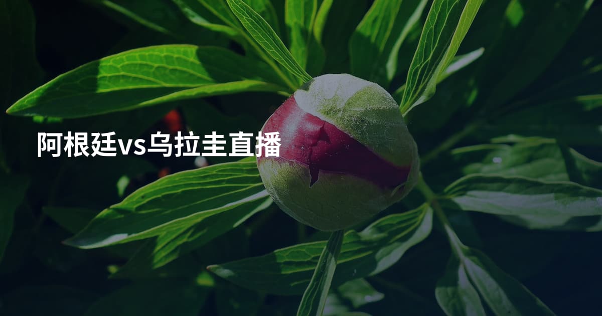阿根廷vs乌拉圭直播