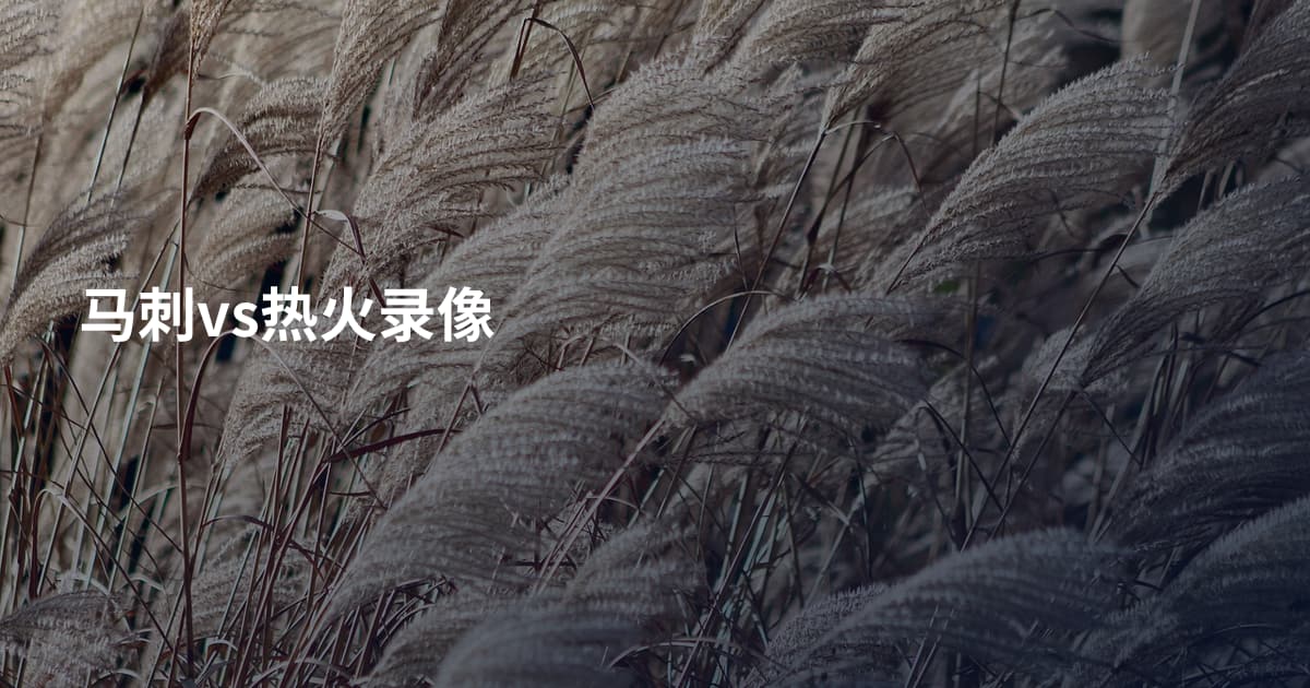 马刺vs热火录像