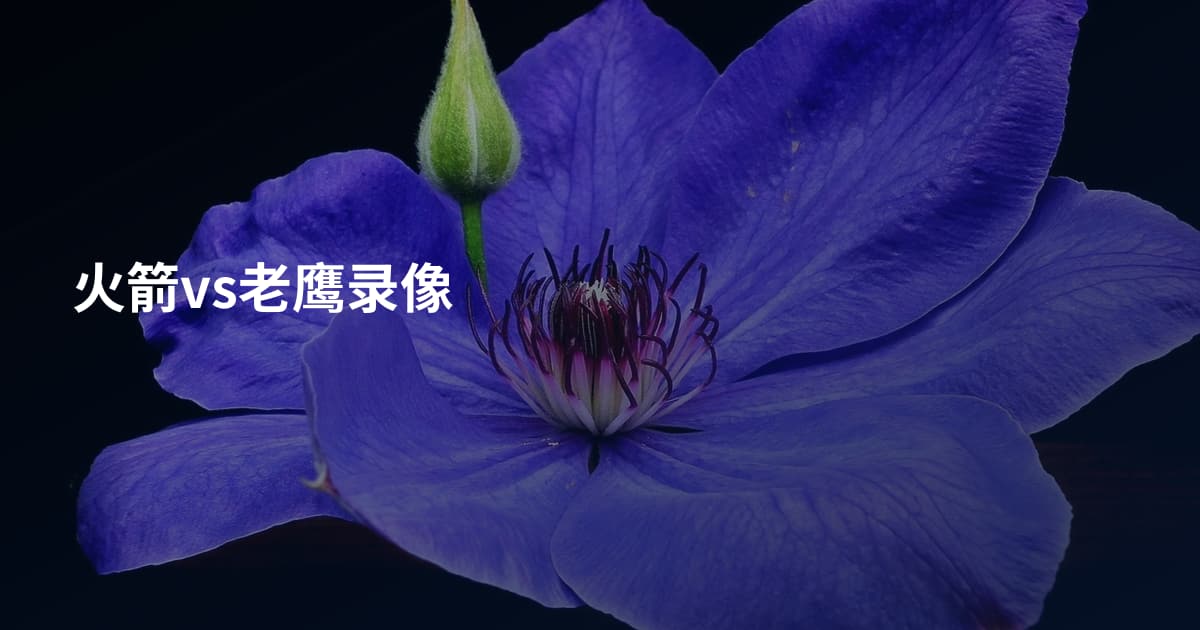 火箭vs老鹰录像