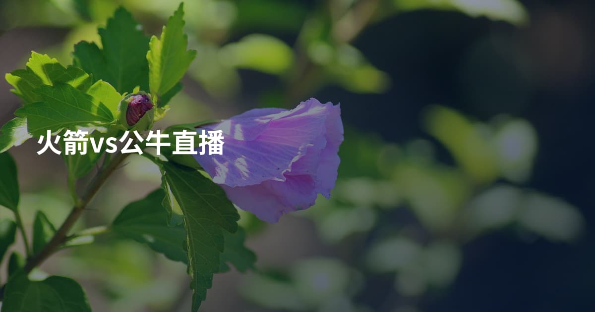 火箭vs公牛直播