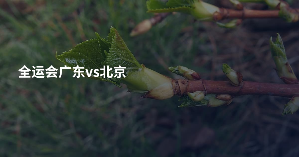 全运会广东vs北京