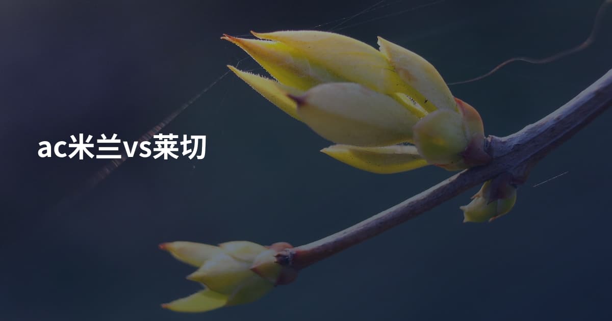 ac米兰vs莱切
