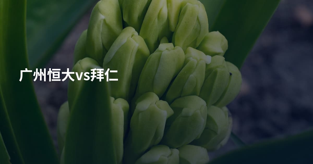 广州恒大vs拜仁