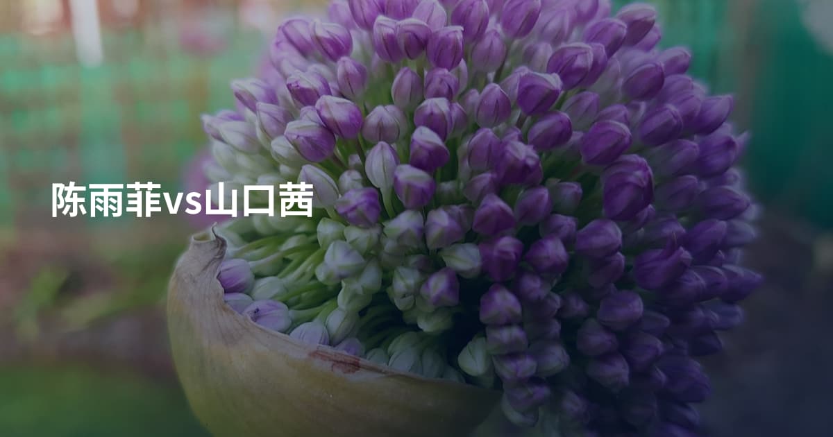 陈雨菲vs山口茜