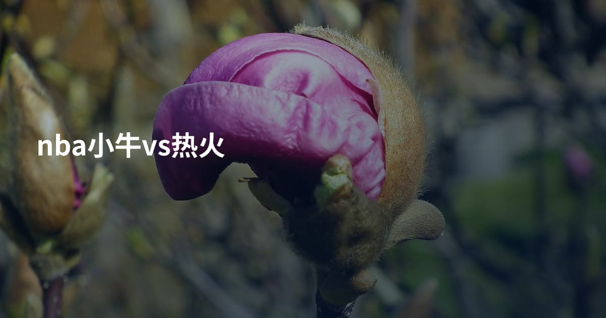 nba小牛vs热火