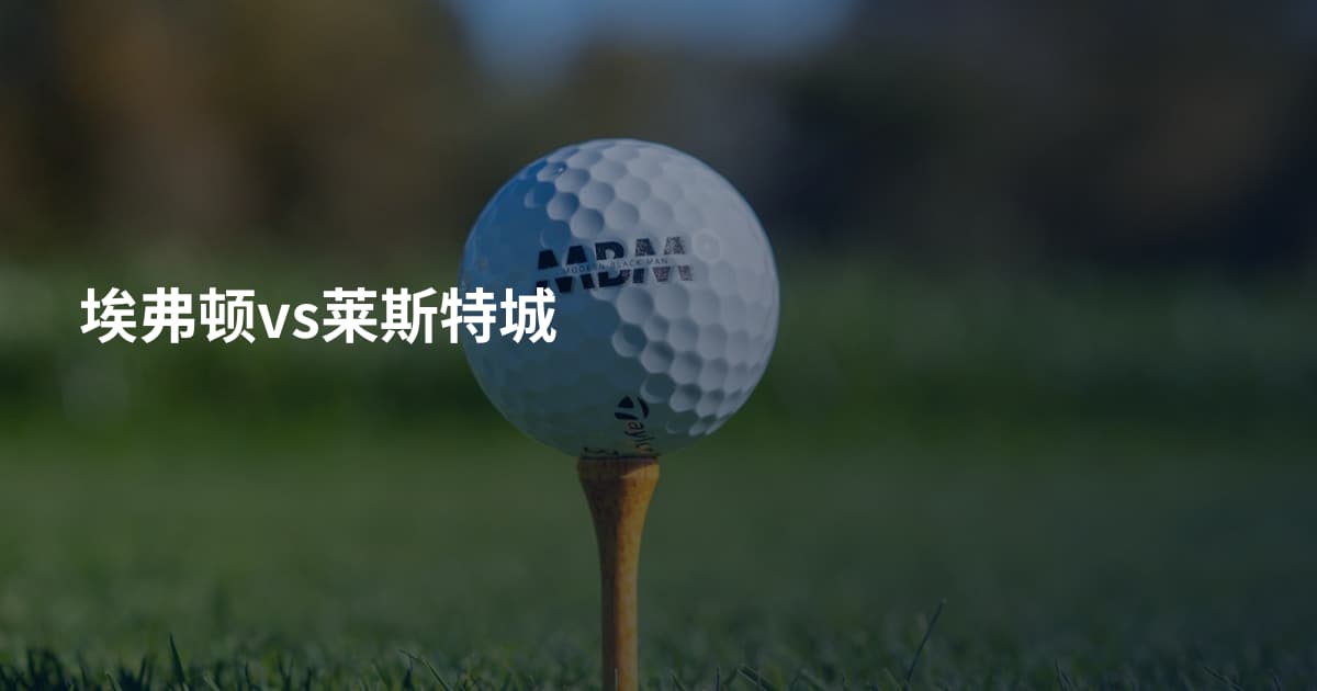 埃弗顿vs莱斯特城