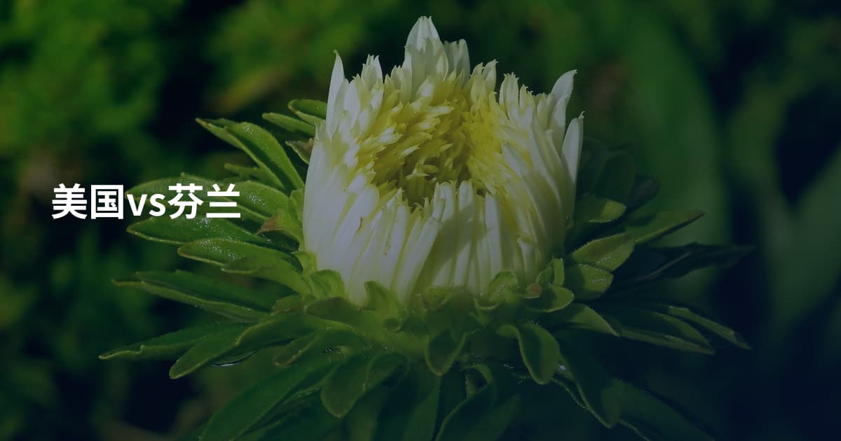 美国vs芬兰