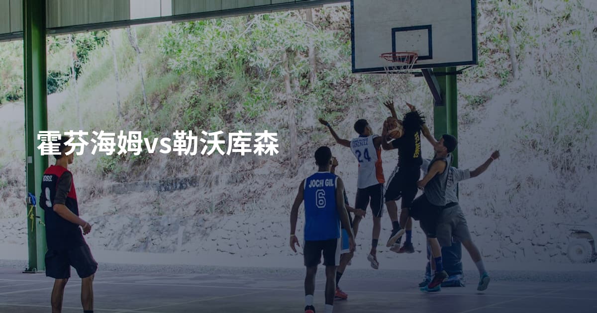 霍芬海姆vs勒沃库森
