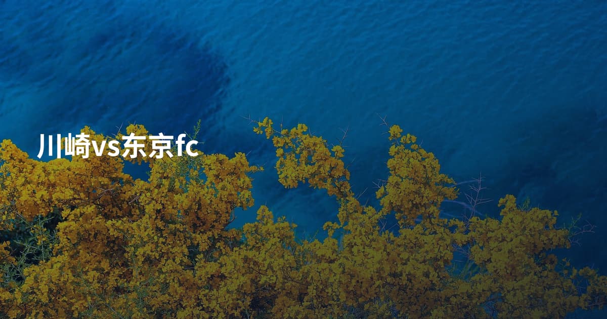 川崎vs东京fc