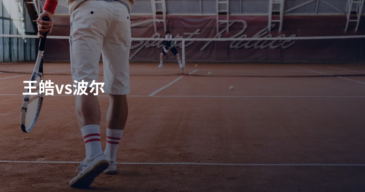 王皓vs波尔