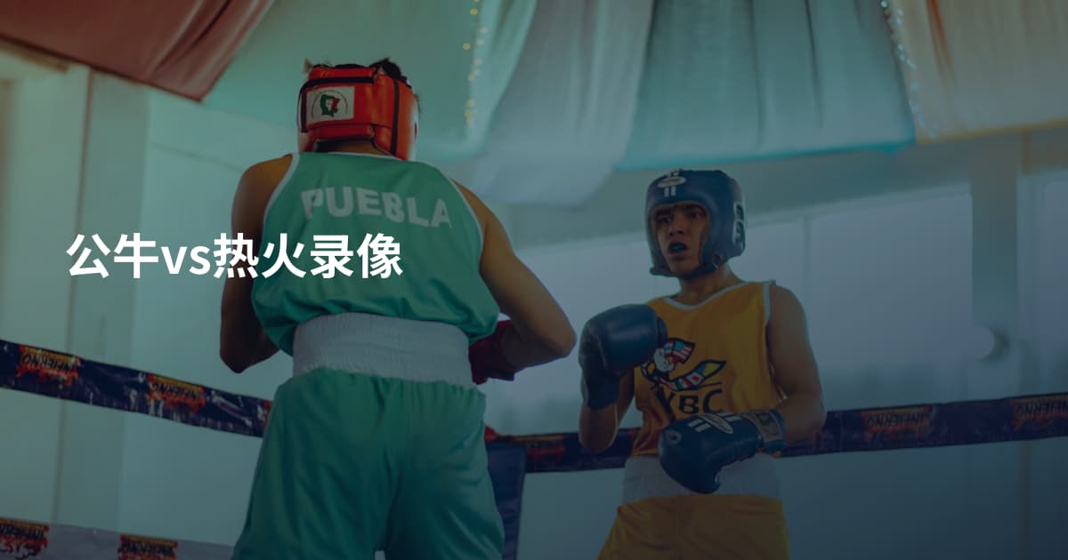 公牛vs热火录像