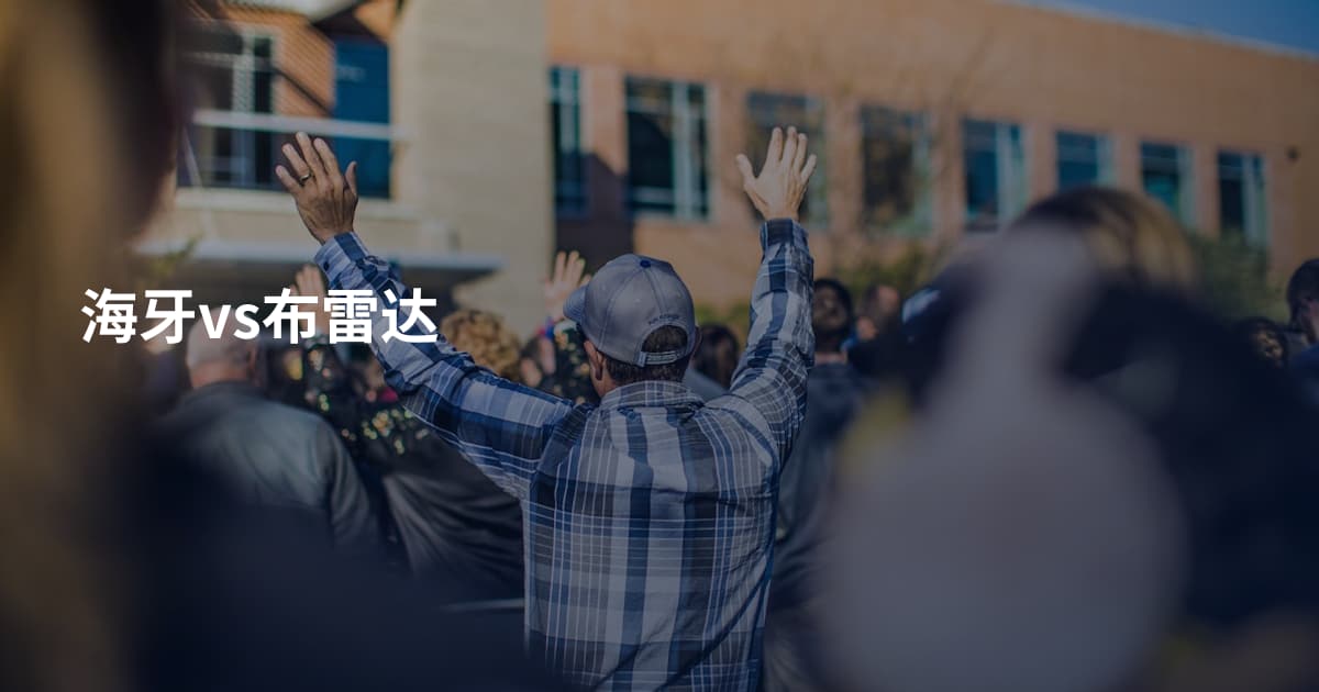 海牙vs布雷达
