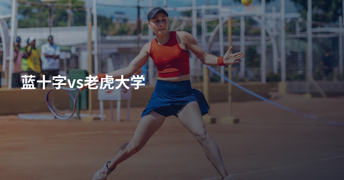 蓝十字vs老虎大学