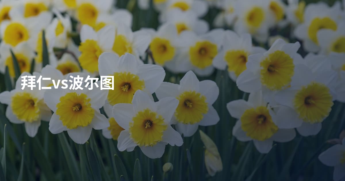 拜仁vs波尔图