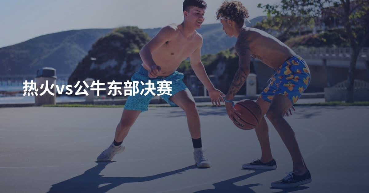 热火vs公牛东部决赛