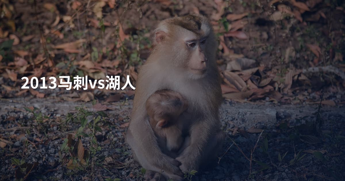 2013马刺vs湖人
