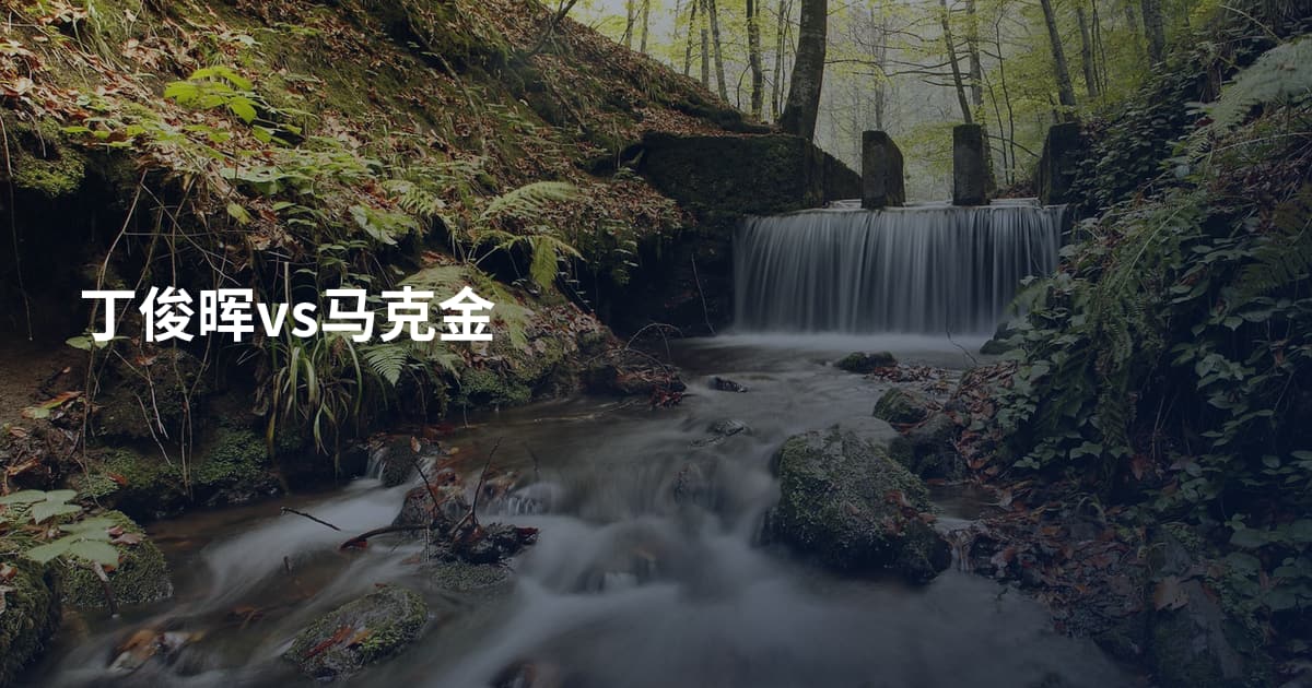 丁俊晖vs马克金