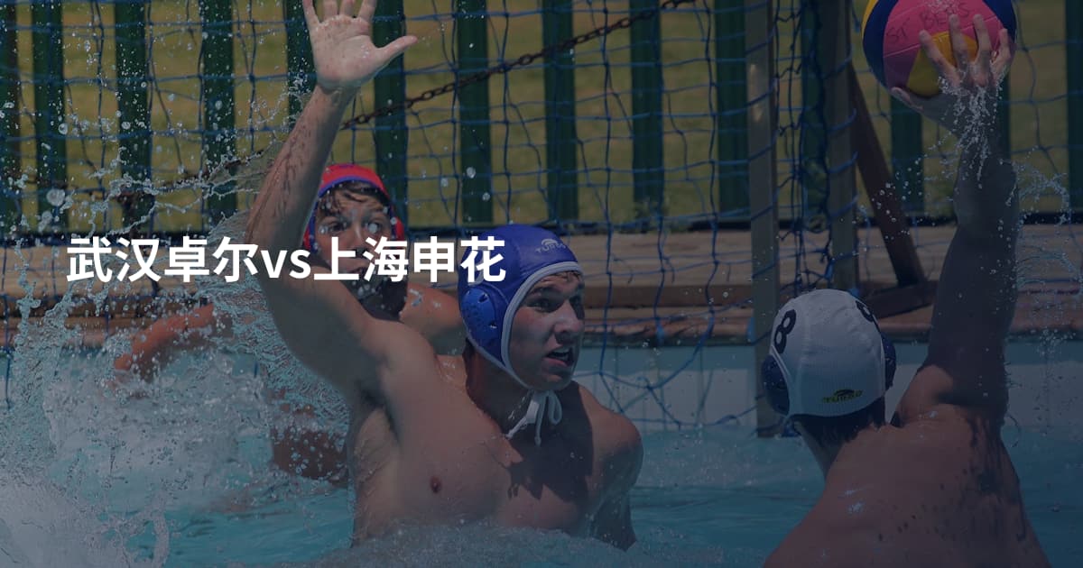 武汉卓尔vs上海申花