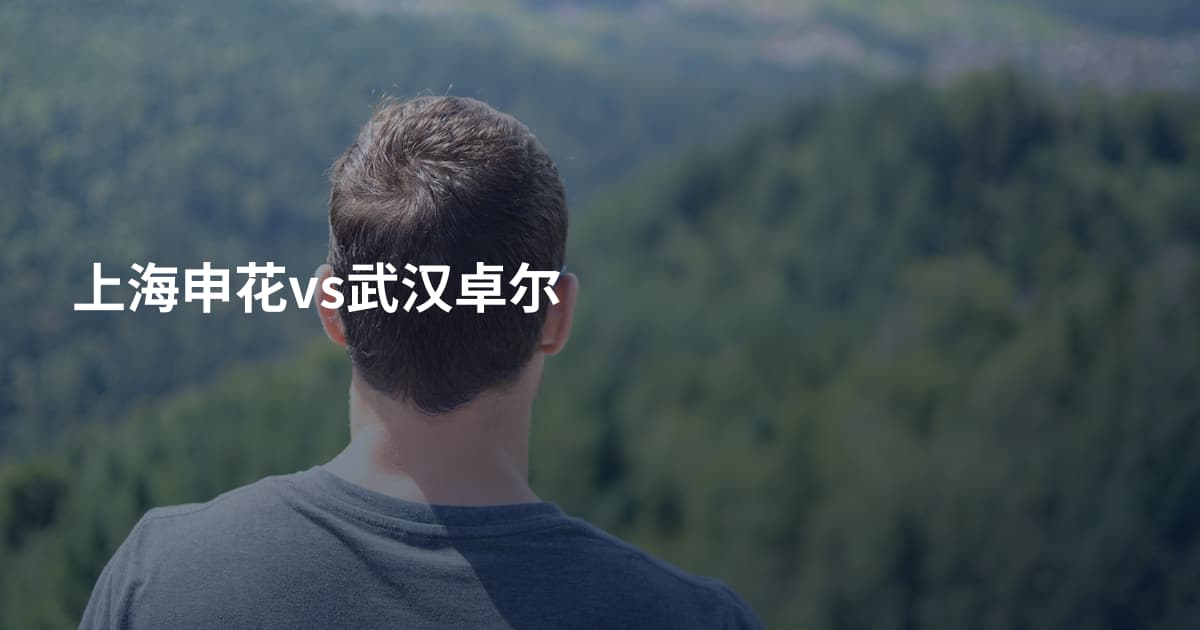上海申花vs武汉卓尔