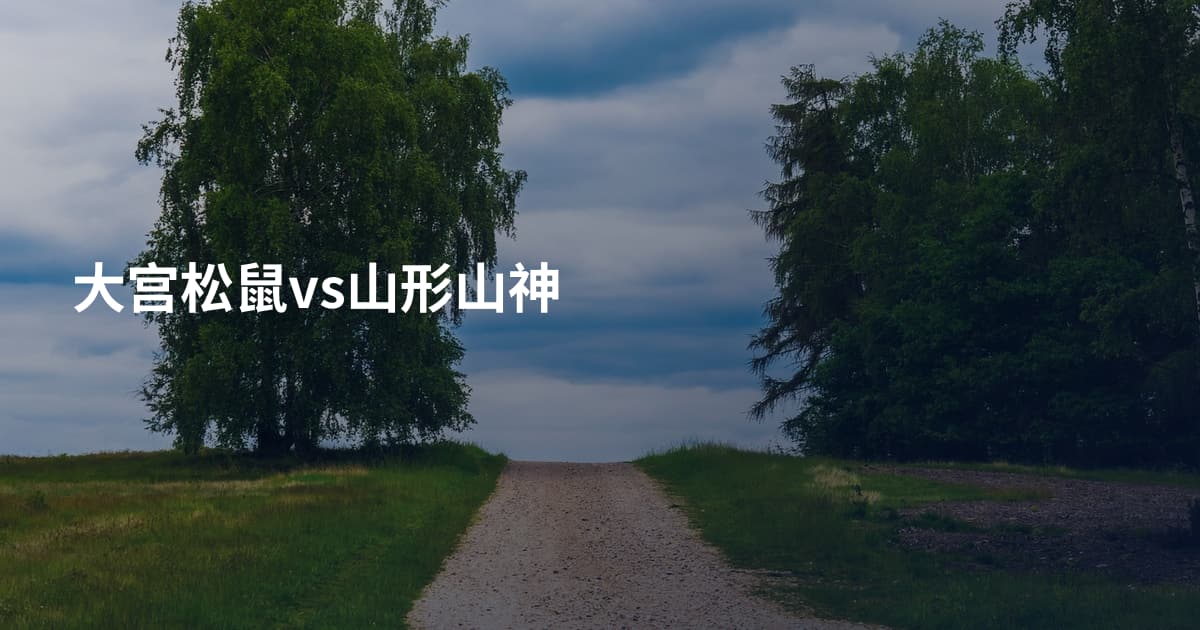 大宫松鼠vs山形山神