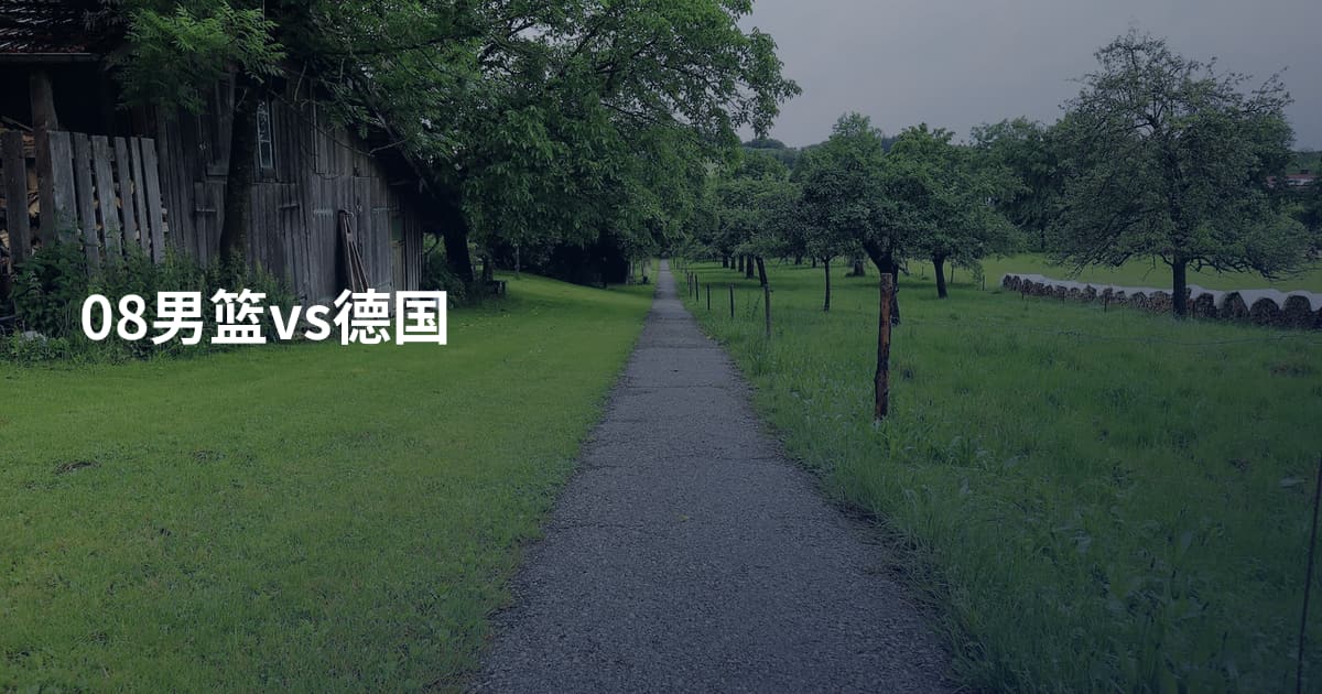 08男篮vs德国