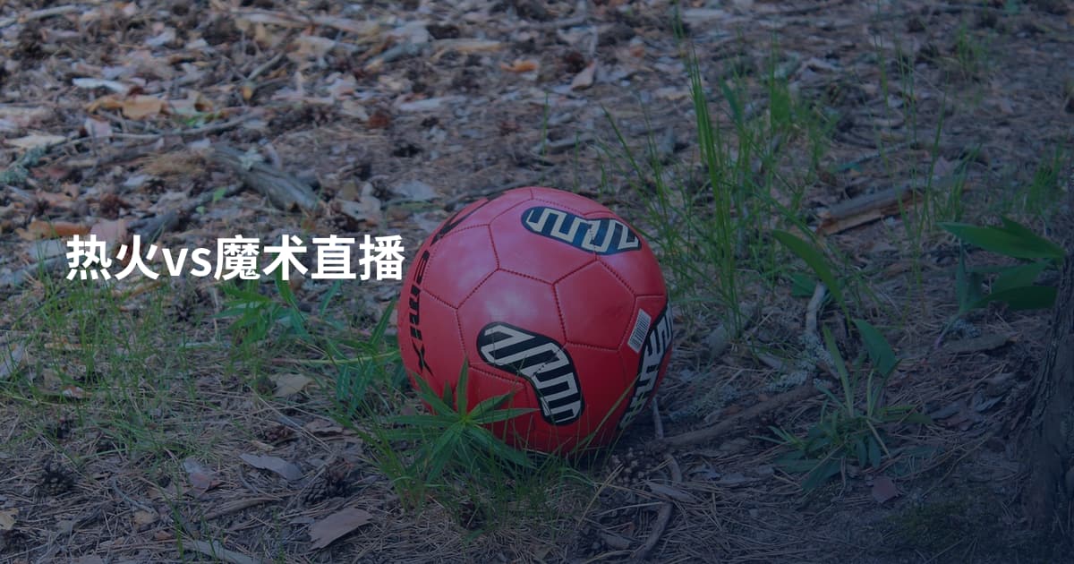 热火vs魔术直播