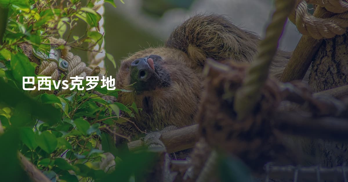 巴西vs克罗地